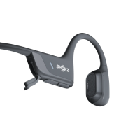 SHOKZ - S820 OpenRunPro 2 - Black